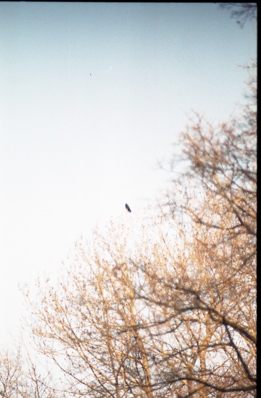 projekt_diffus_Bild-03