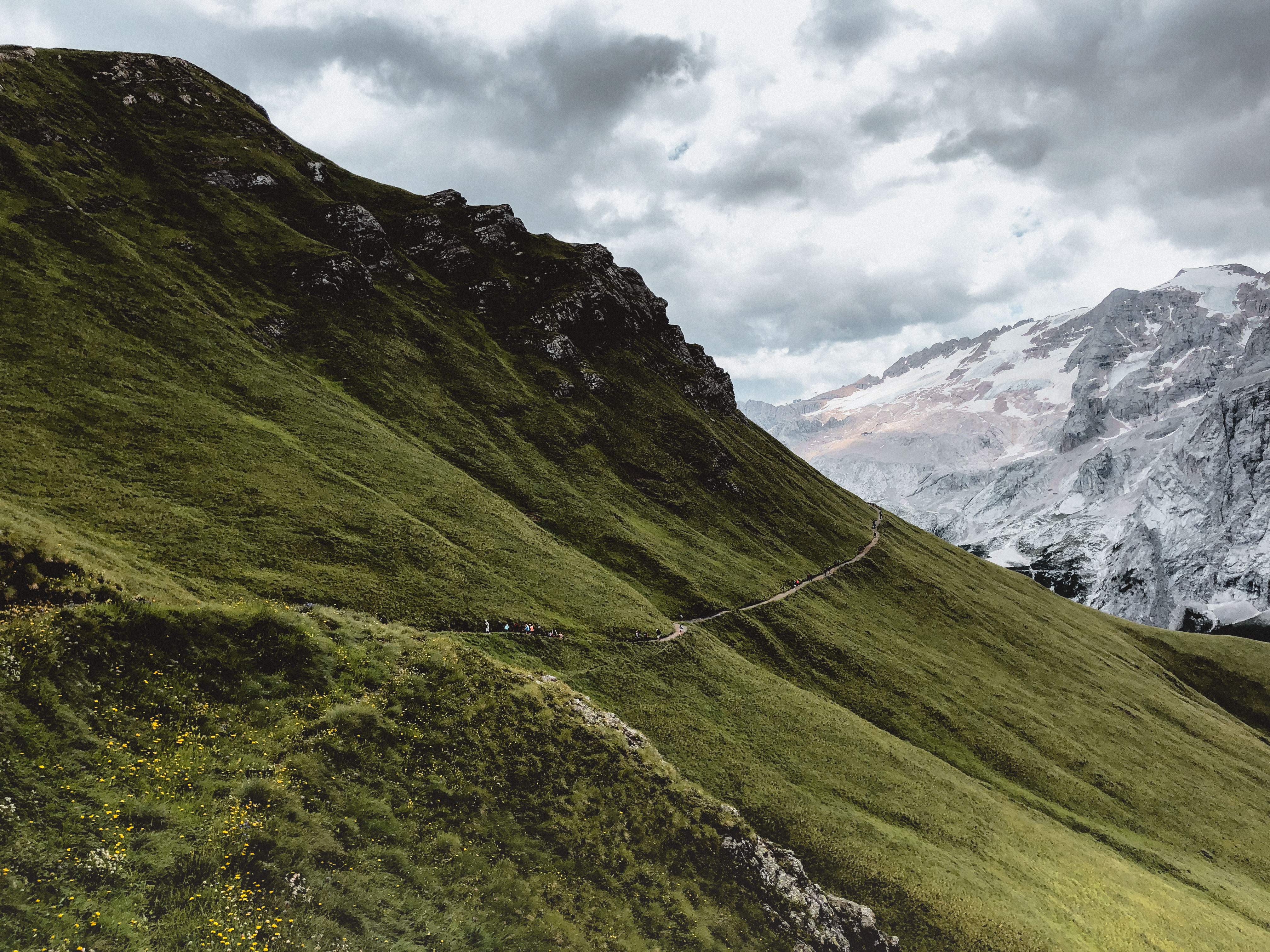 Ein schmaler Bergweg schlängelt sich durch einen Grasberg, im Hintergrund ist ein schneebedeckter Berg zu sehen.