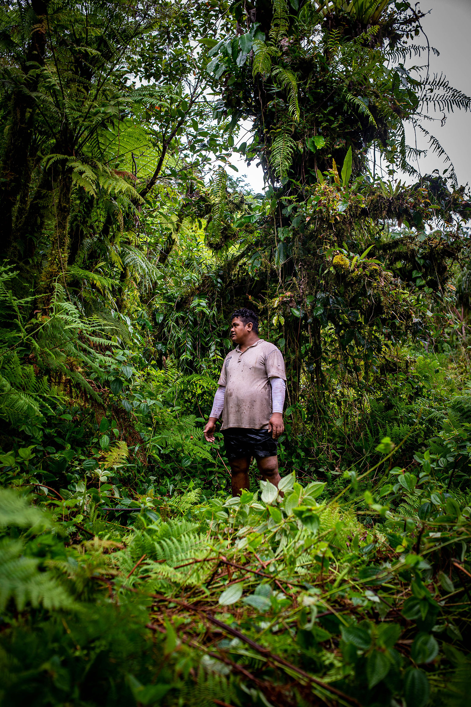 Ganzkörperportrait eines Trägers bei einer Expedition zu einem abgelegenen Vulkansees auf Samoa, wie er verloren in die Ferne blickt.