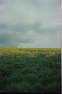 hochformat